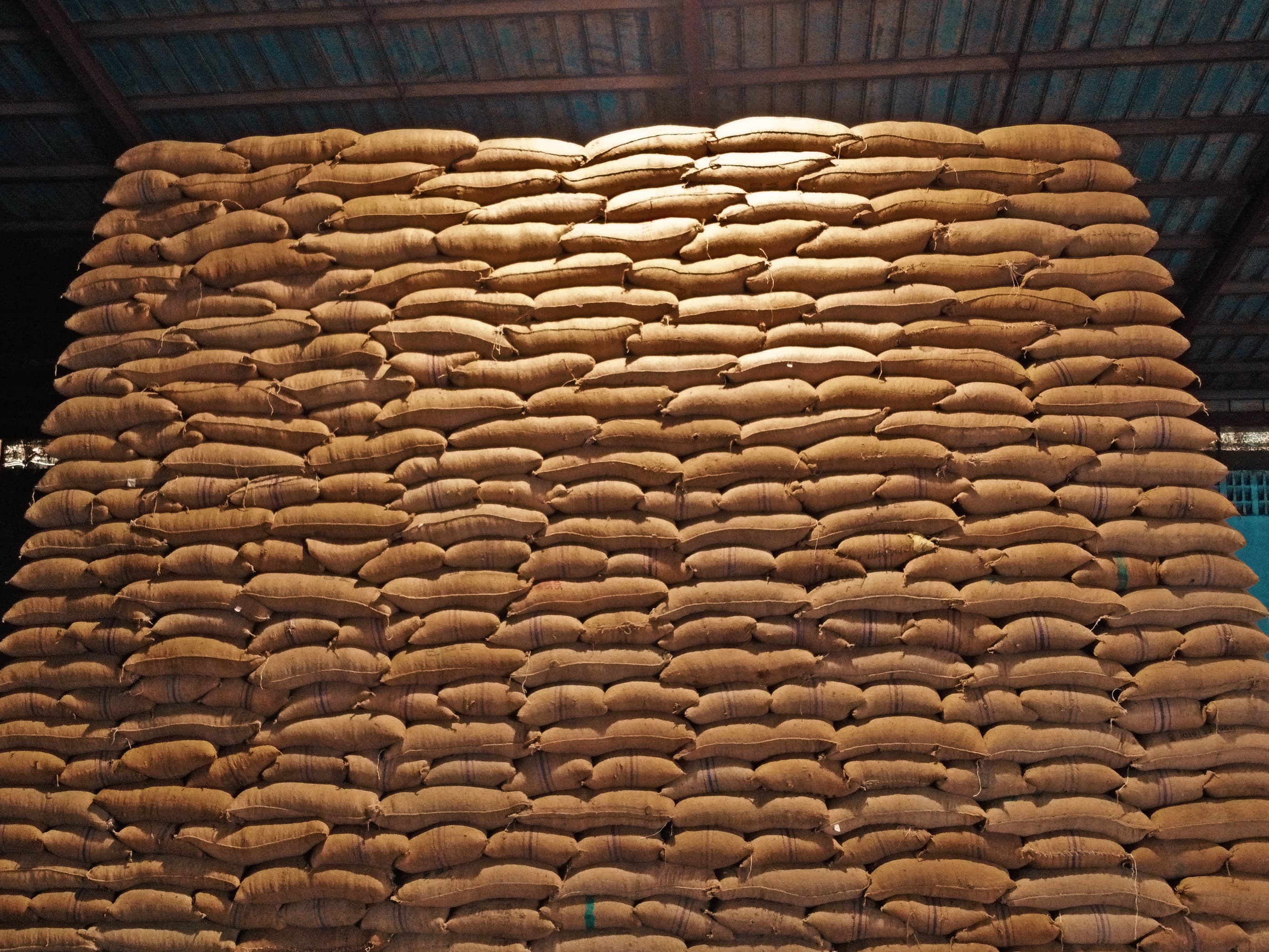 Cocoa beans in warehouse